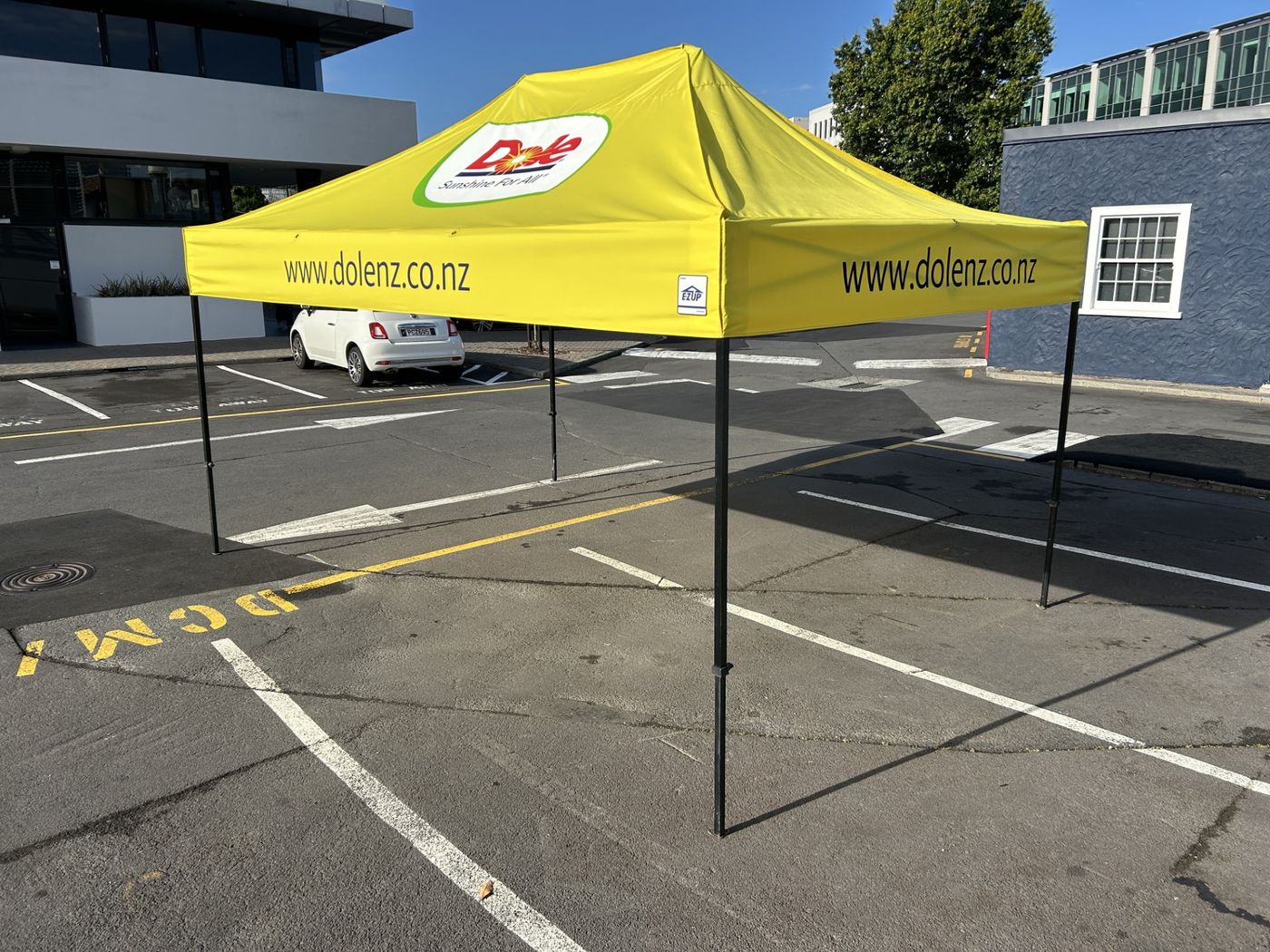 Canopy and Tent Branding